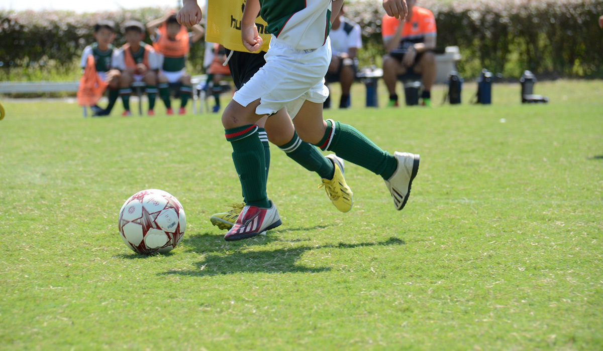 天然芝ピッチ