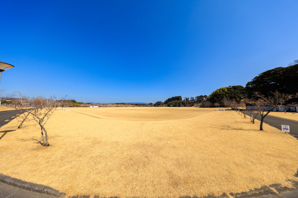 多目的芝生広場